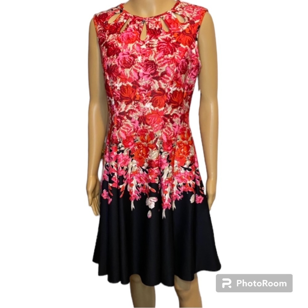 NWT Gabby Skye floral dress. Size 8, black, pink, white, red.
